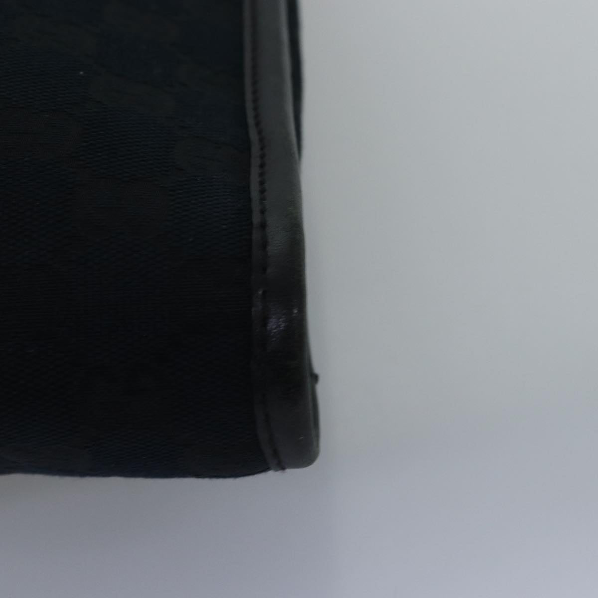 Gucci GG canvas