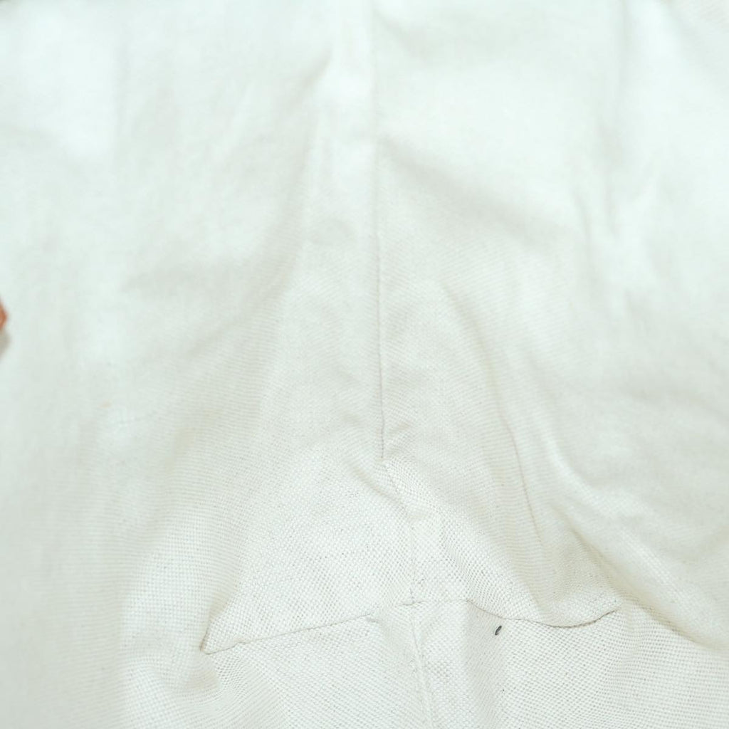 Gucci GG canvas