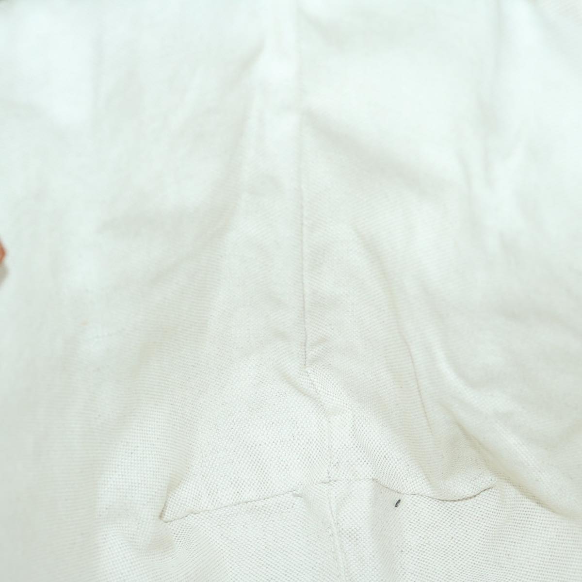 Gucci GG canvas