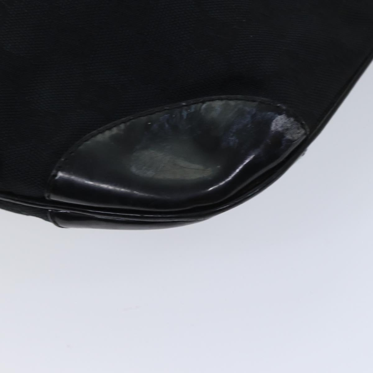 Gucci GG canvas