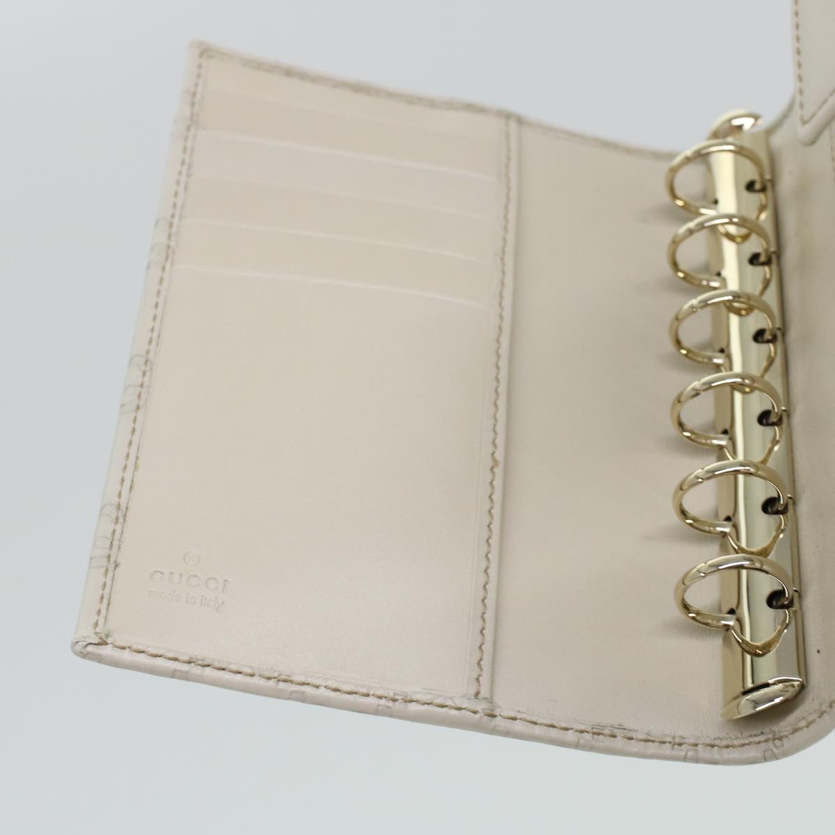 Gucci GG canvas