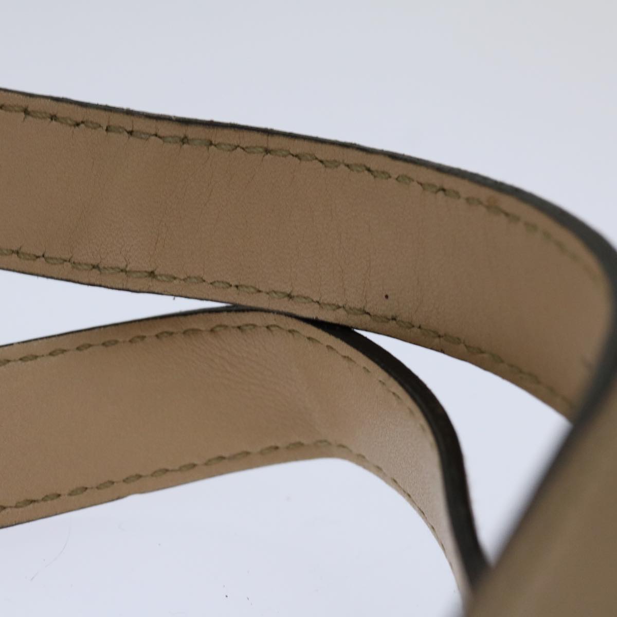 Gucci GG canvas