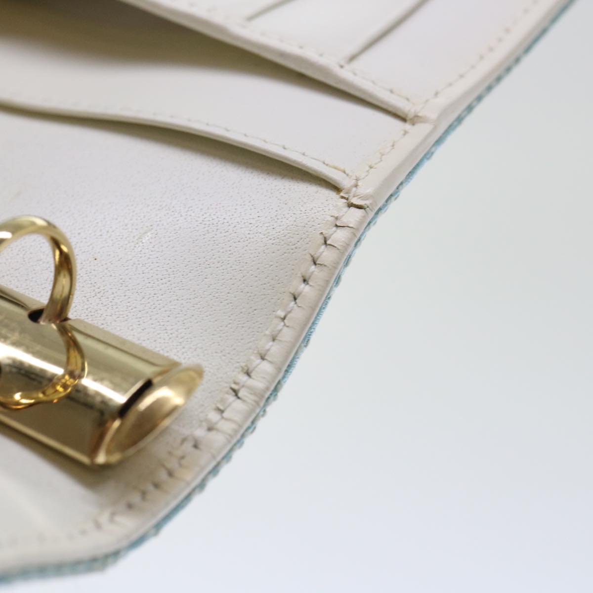 Gucci GG canvas