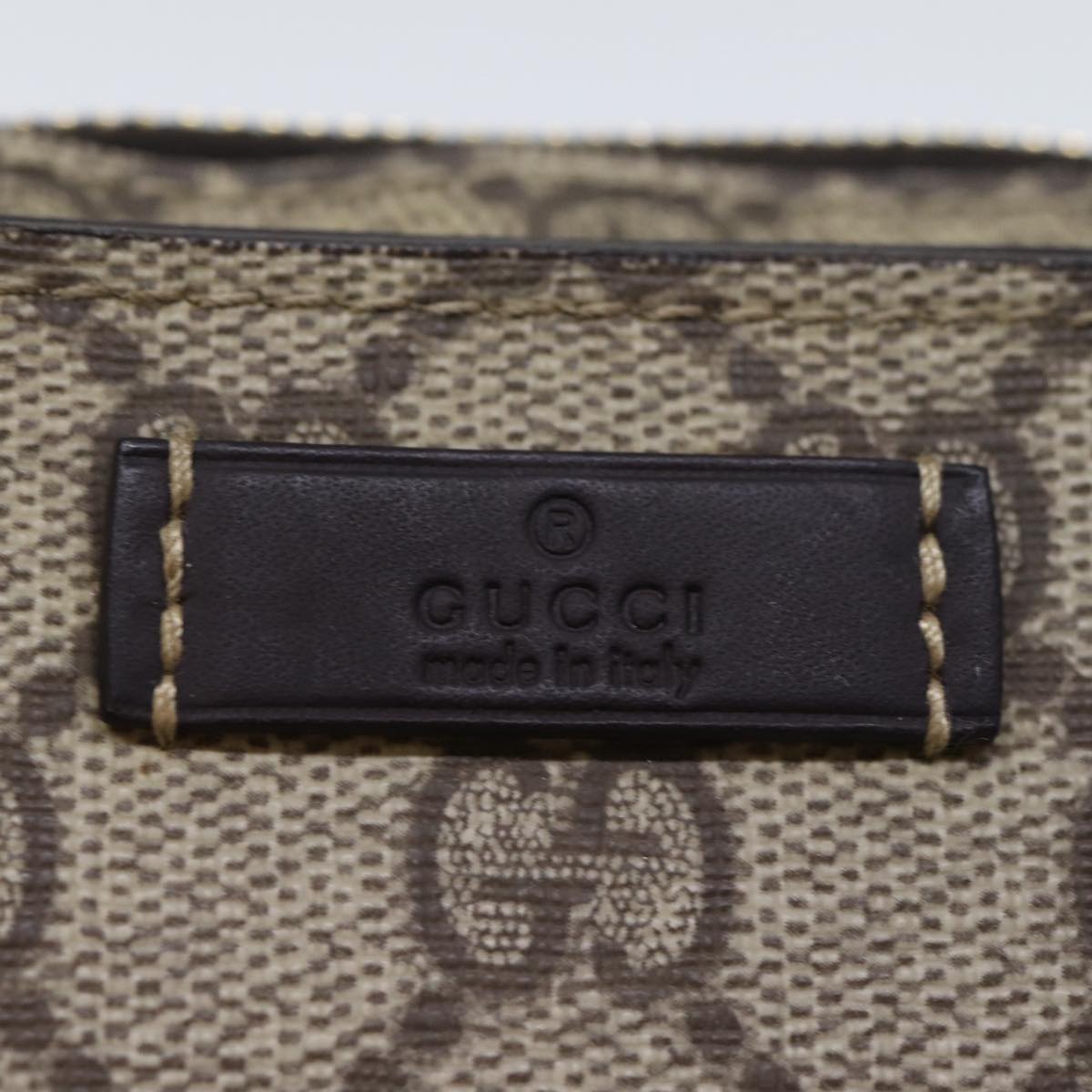 Gucci GG canvas