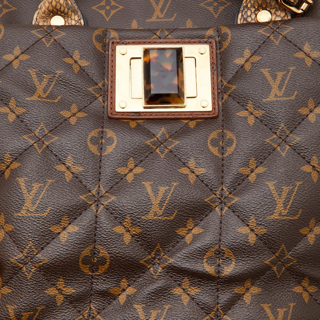Louis Vuitton Monogram Canvas Limited Edition Etoile Exotique Gm Bag