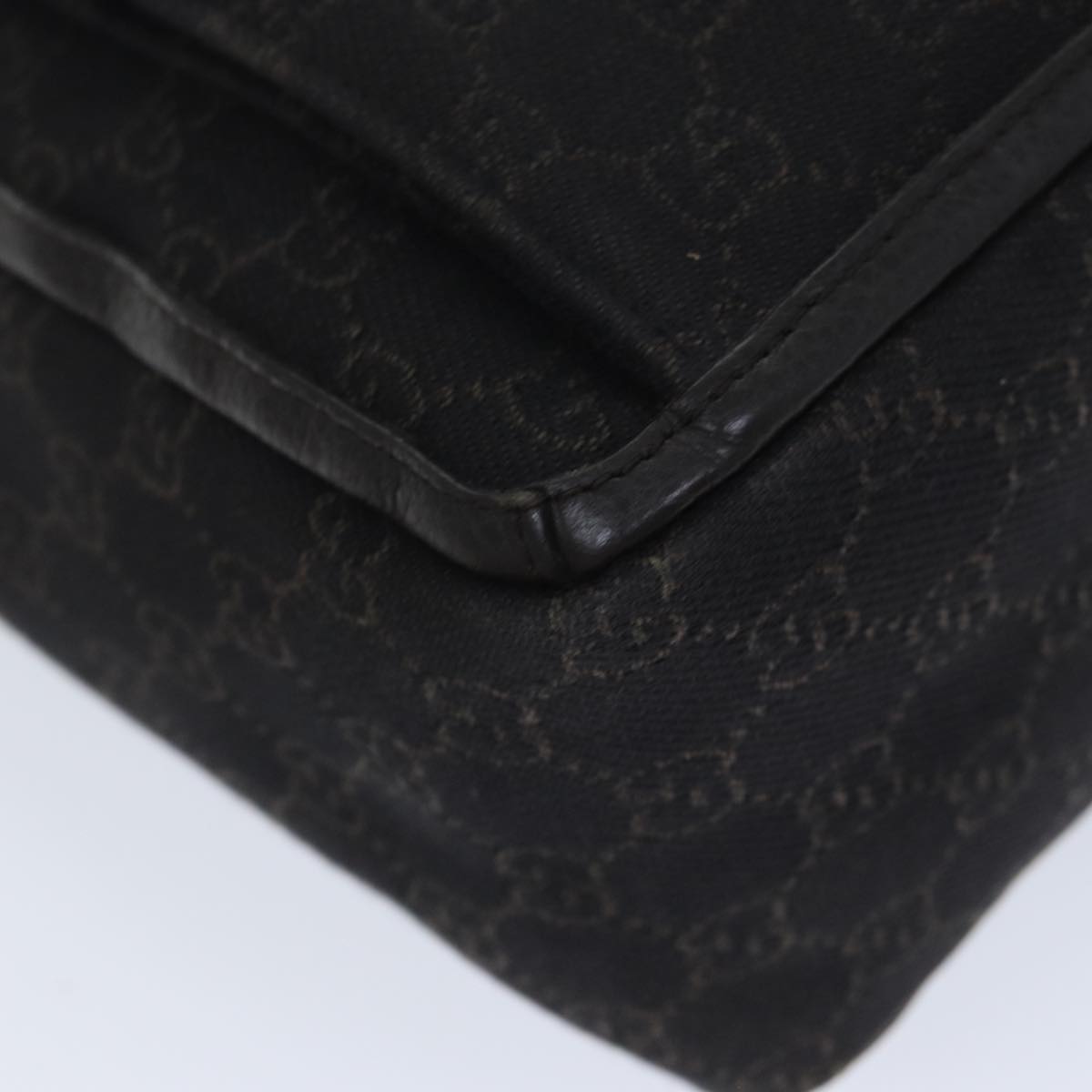 Gucci GG canvas
