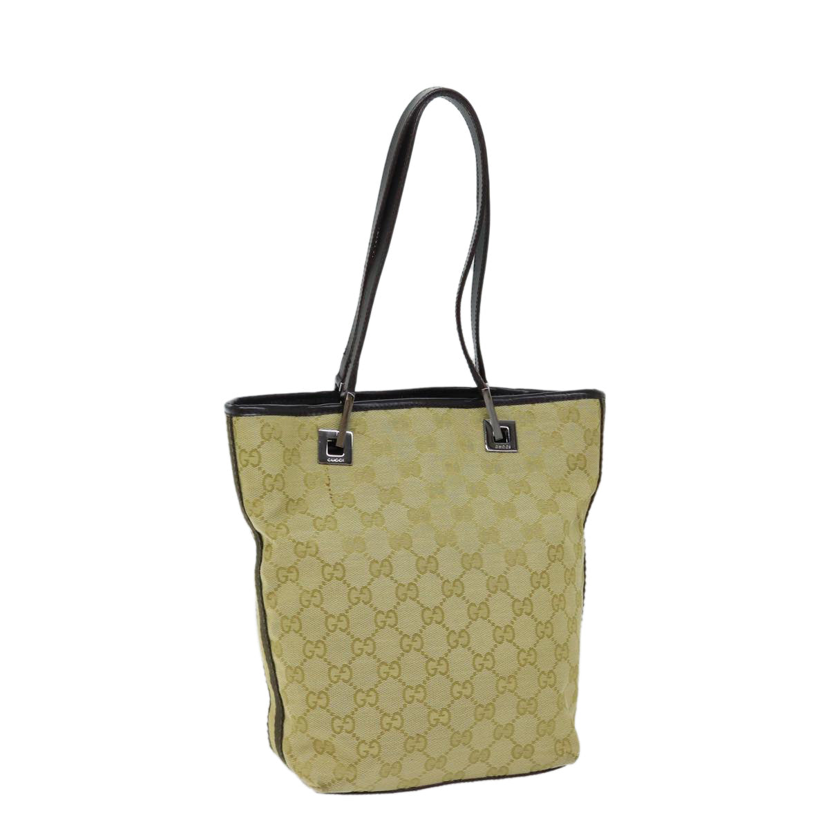 Gucci GG canvas