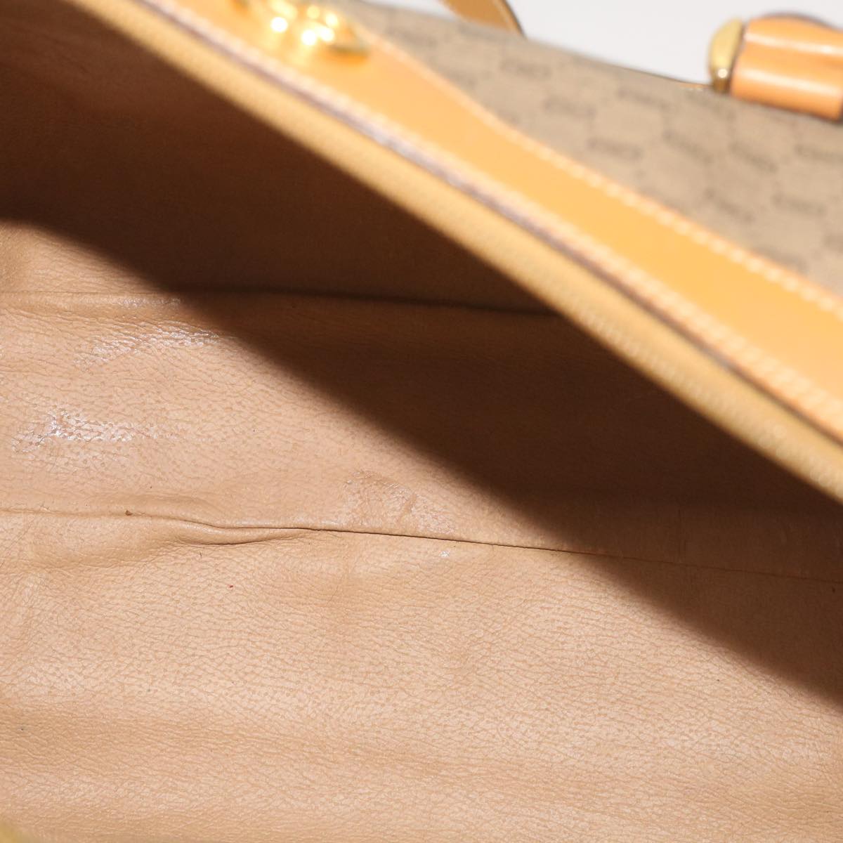 Gucci GG canvas