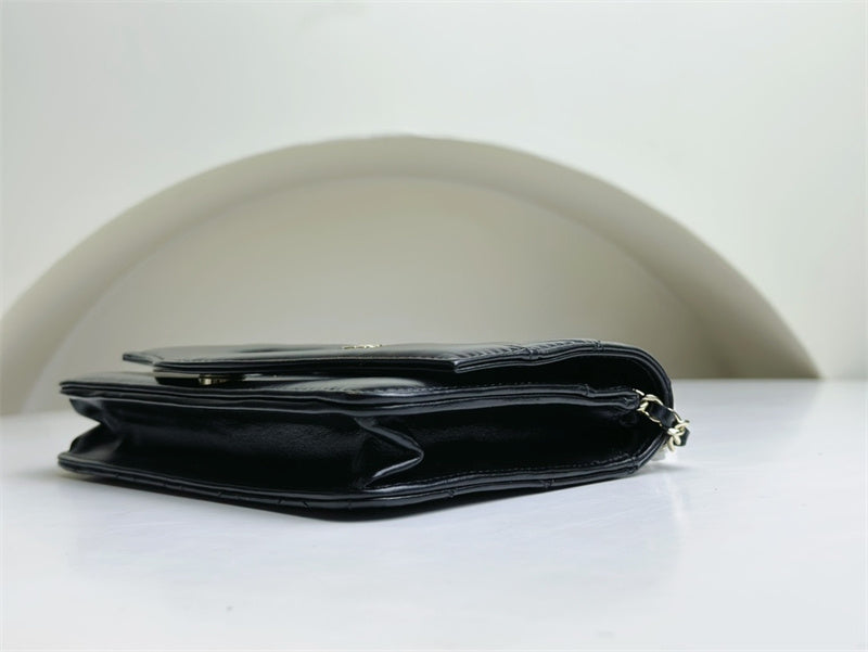 Glami- - CHL Bags - 018