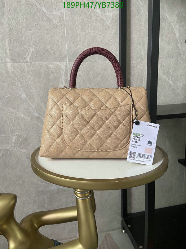 SAMC - CHL Bags - 744