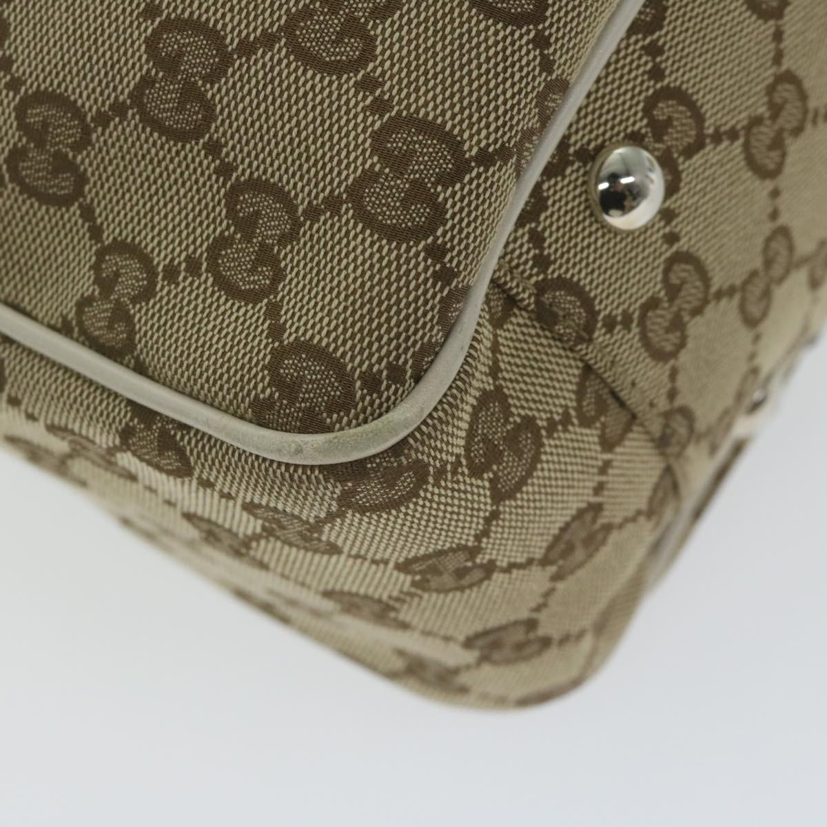 Gucci GG canvas