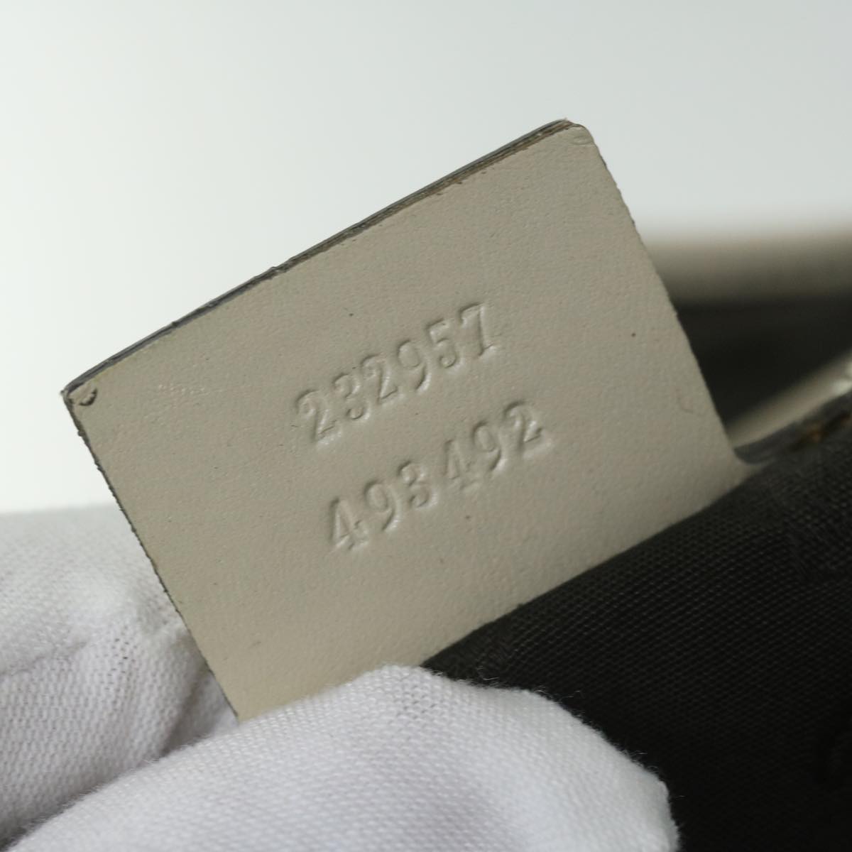 Gucci GG canvas