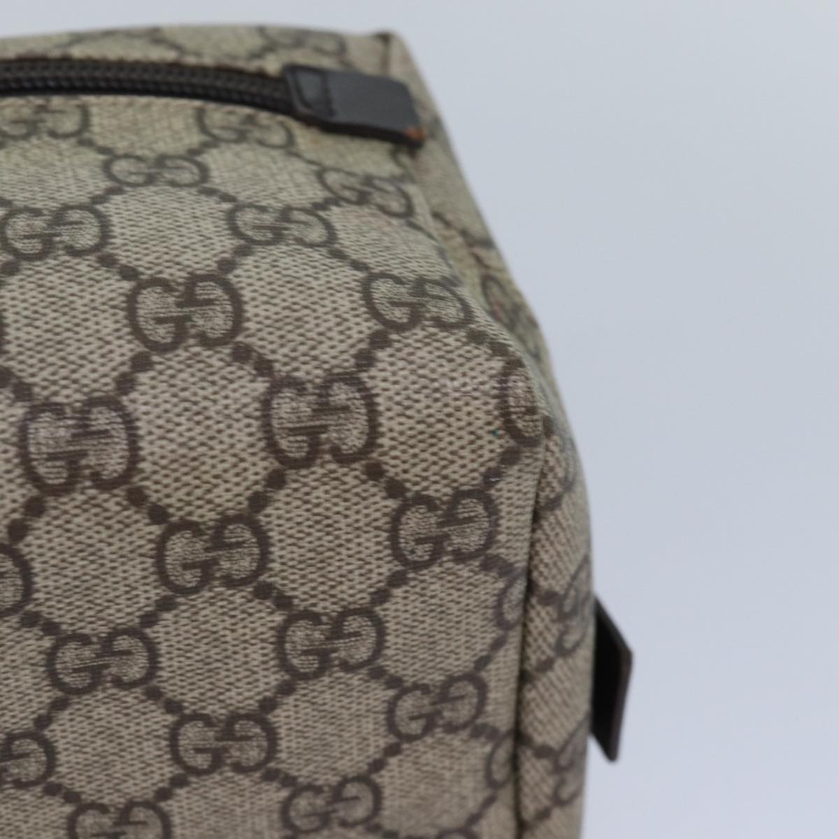 Gucci GG canvas