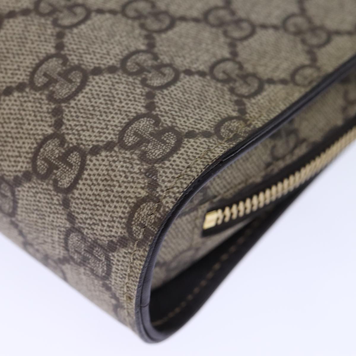 Gucci GG canvas
