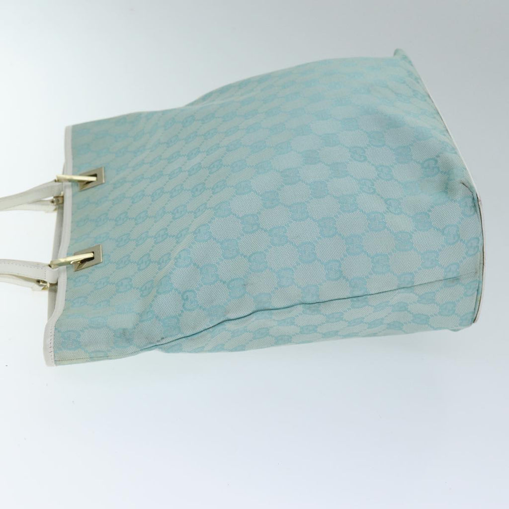 Gucci GG canvas