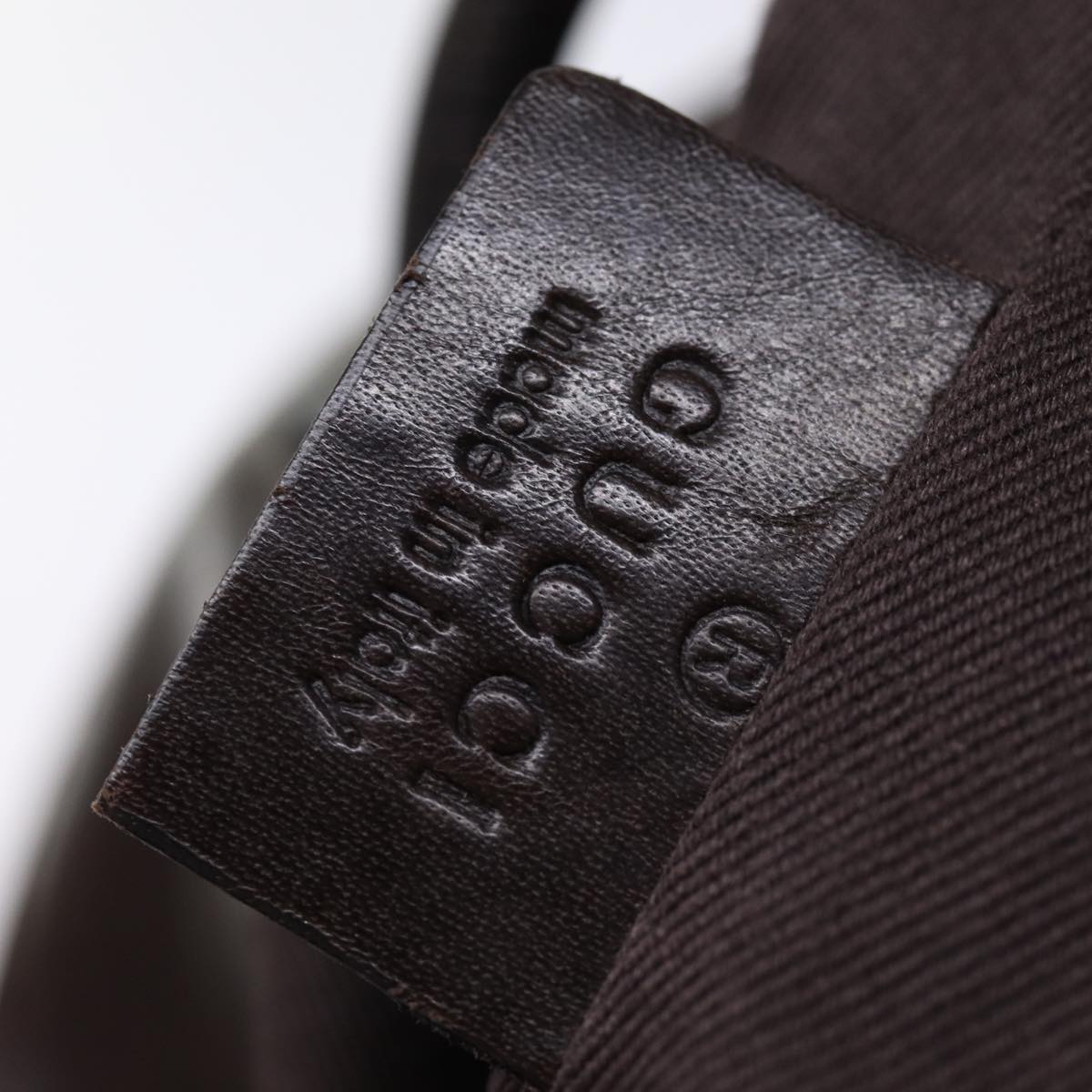 Gucci GG canvas