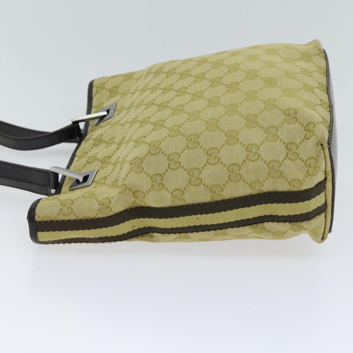 Gucci GG canvas