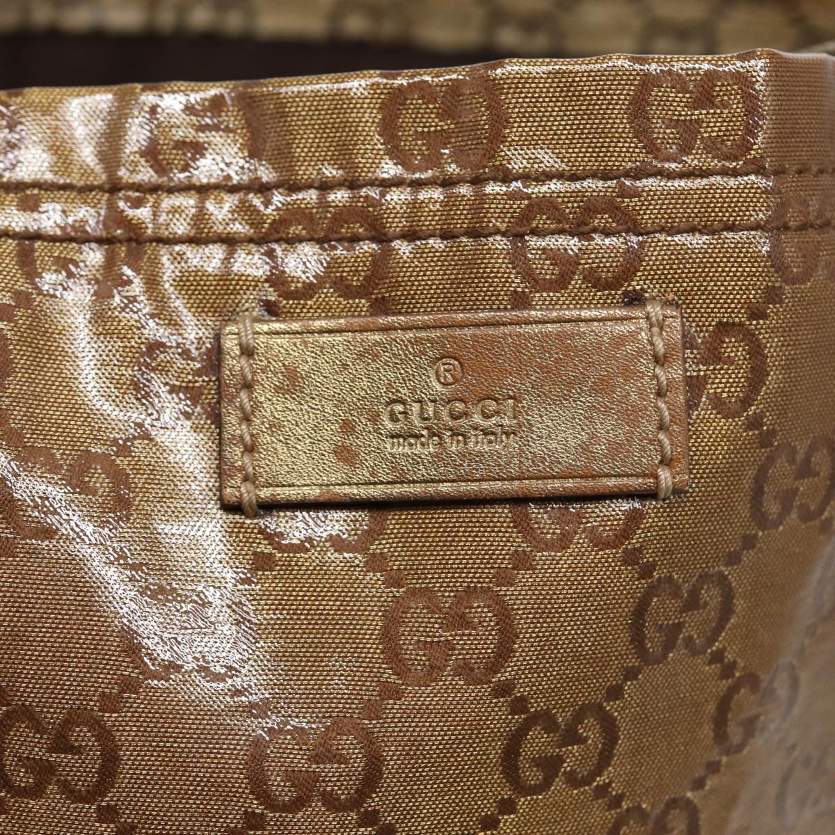 Gucci GG canvas