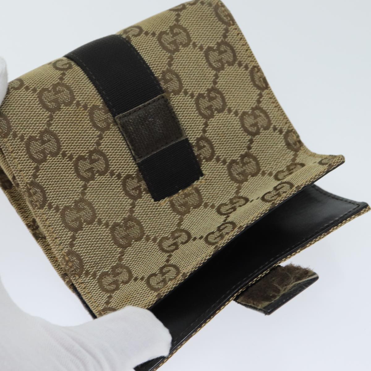 Gucci GG canvas