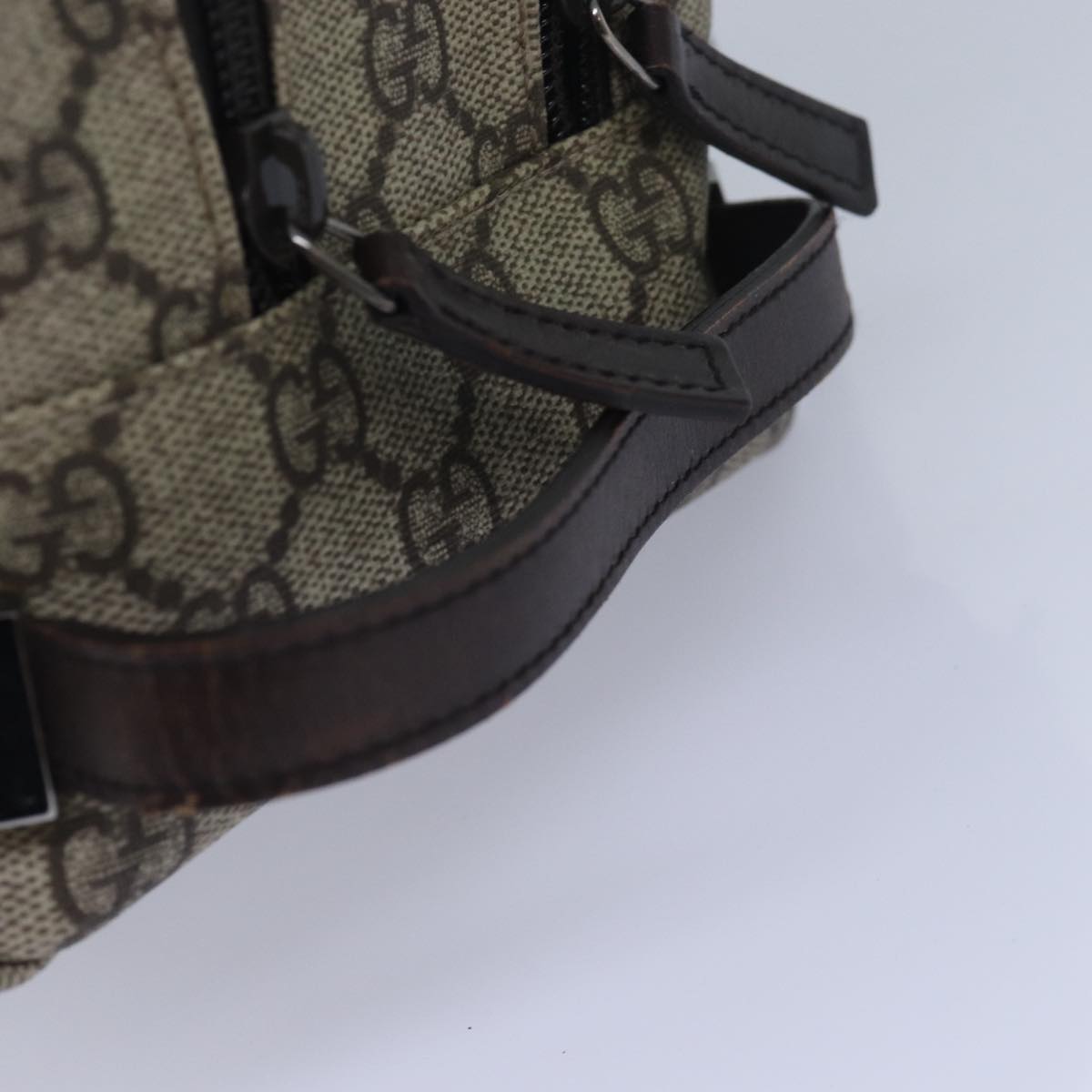 Gucci GG canvas