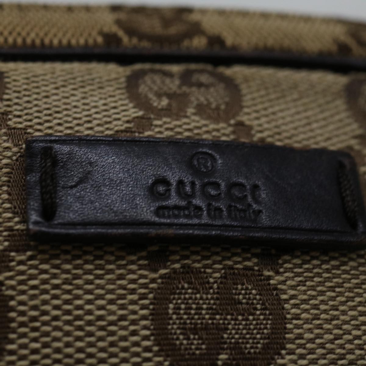 Gucci GG canvas