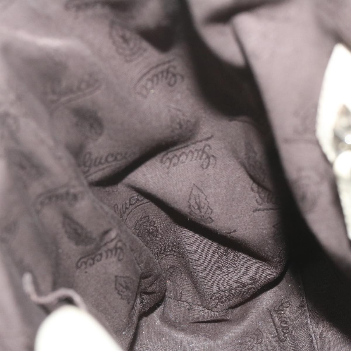 Gucci GG canvas