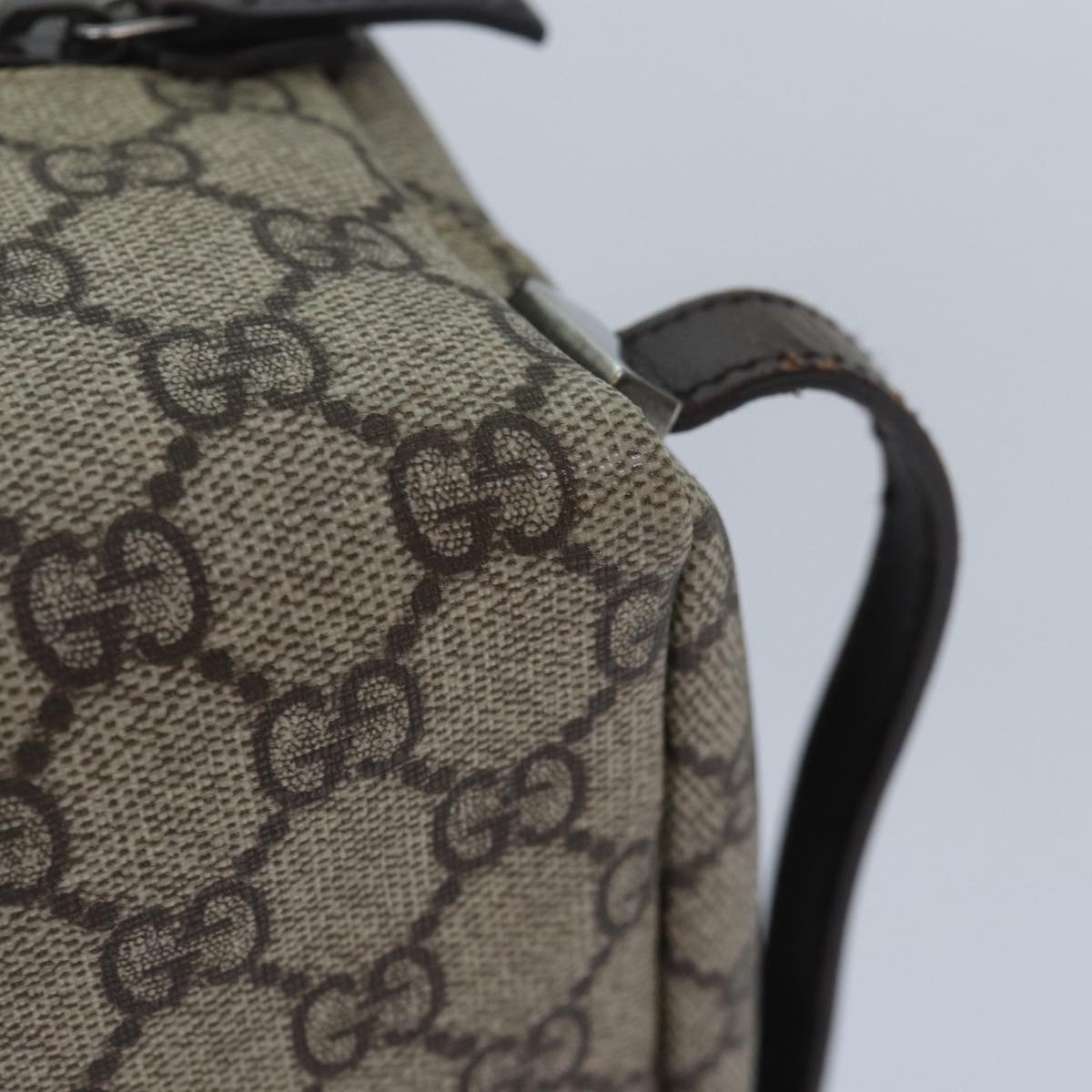 Gucci GG canvas