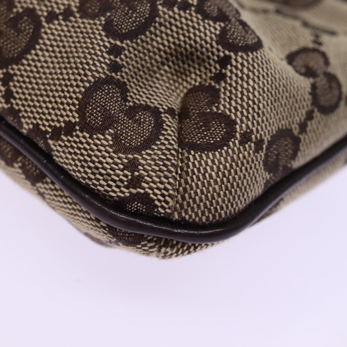 Gucci GG canvas