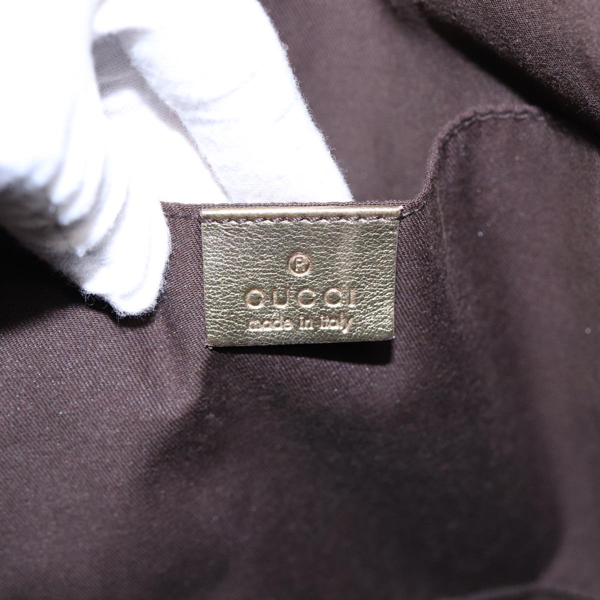 Gucci GG canvas