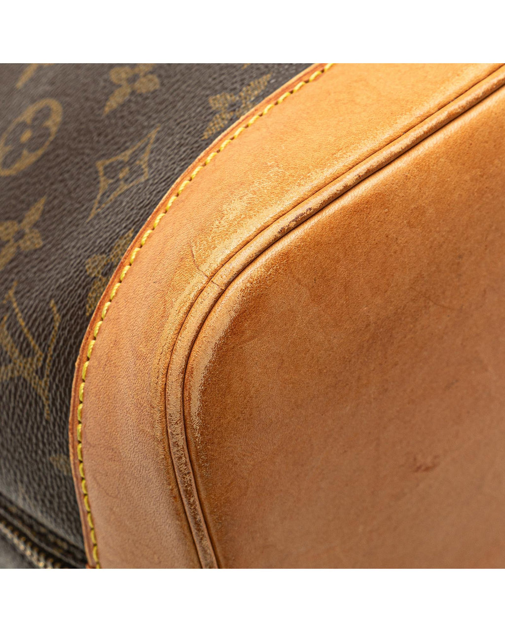 Monogram Canvas Alma PM with Vachetta Leather Handles