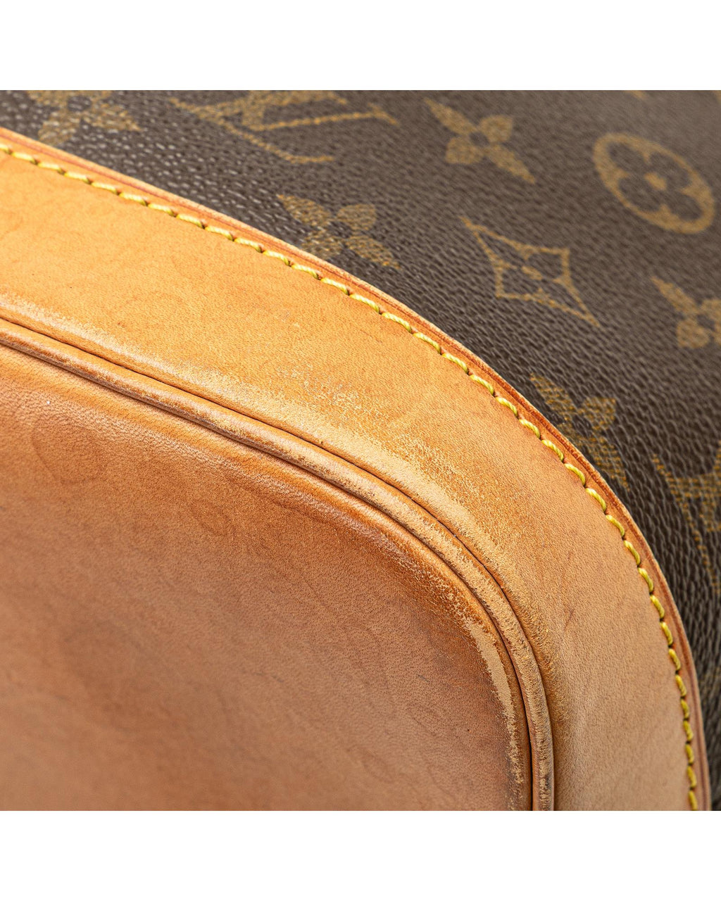 Monogram Canvas Alma PM with Vachetta Leather Handles