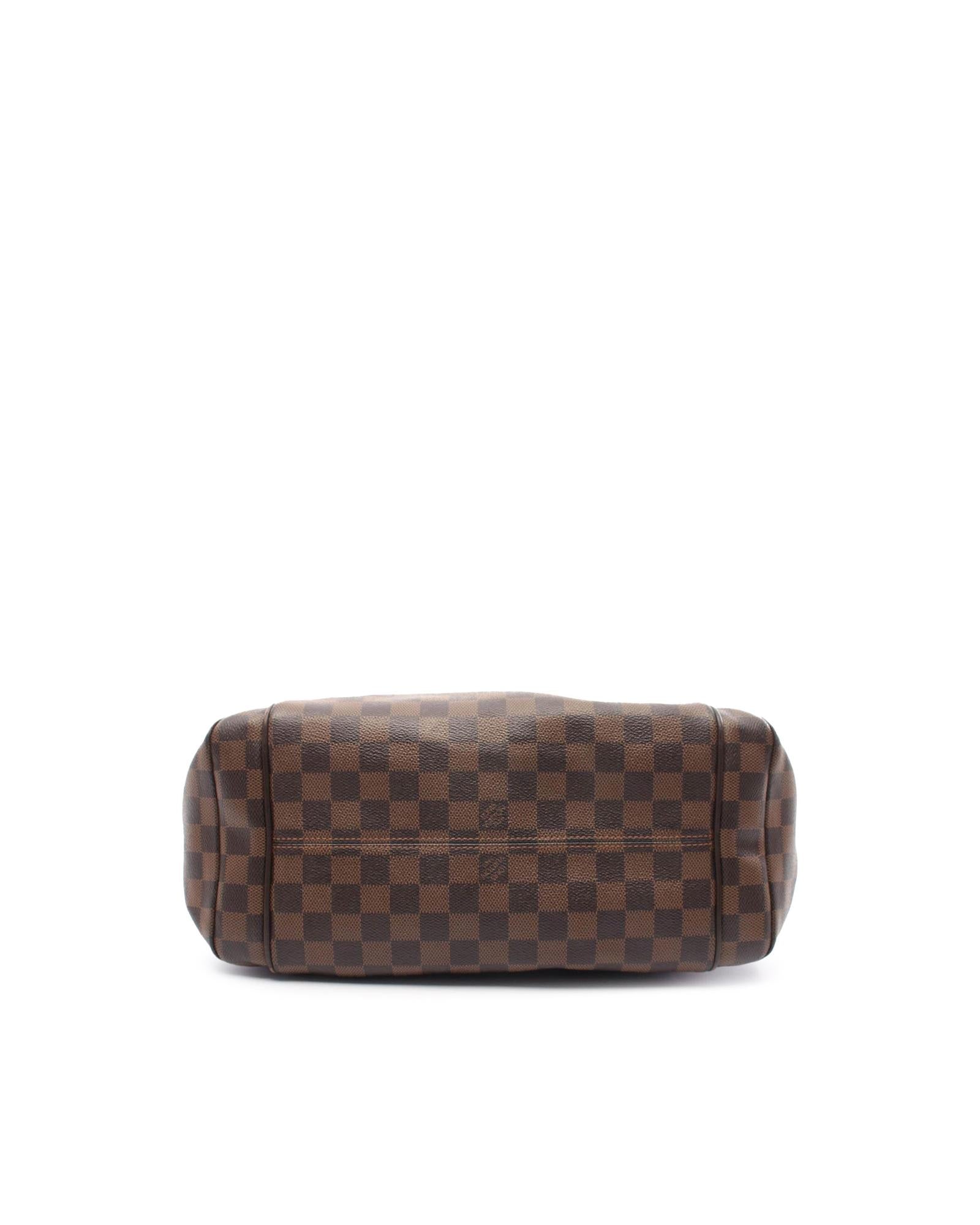 Damier Ebene Canvas Tote with Leather Trim and Multiple Pockets