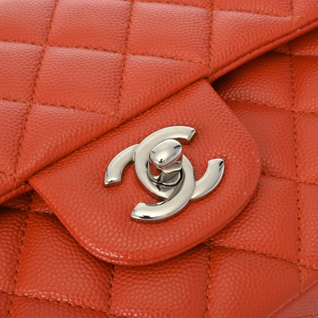 Chanel Classic Double Flap Shoulder Bag