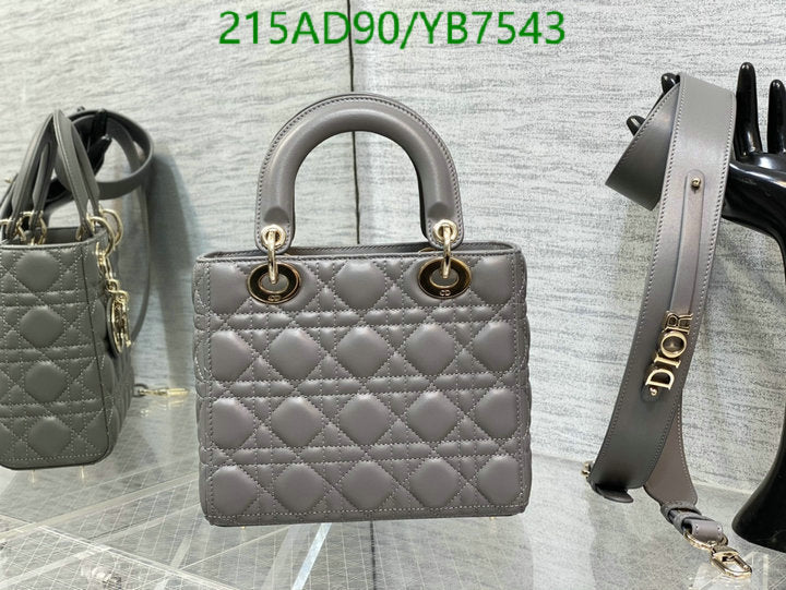 SAMCC - DOR Bags - 1427