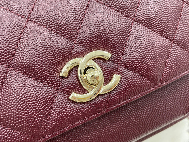 Satchel Bags - CLN Bags - 419