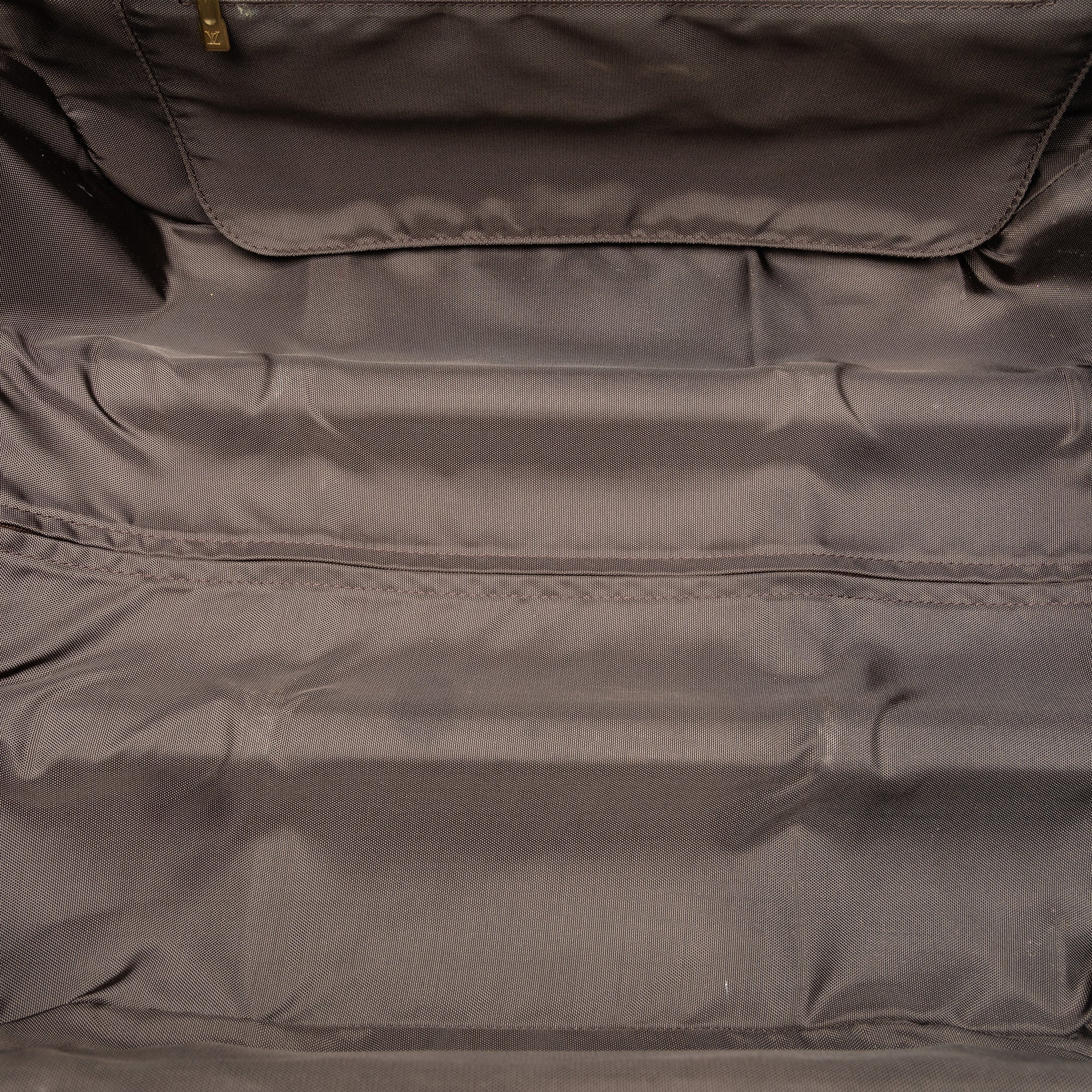 Brown Louis Vuitton Monogram Pegase 55 Travel Bag