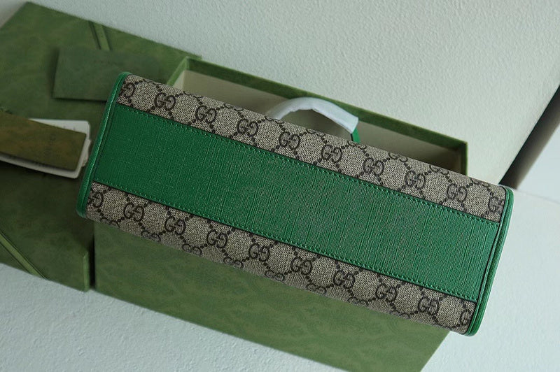 GUI2 Bags - Luxurious Bags  1259