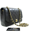 Chanel Classic Flap Bag Shoulder Bag