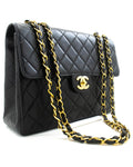 Chanel Classic Flap Bag 255