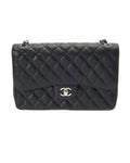 Chanel Classic Double Flap Bag 255