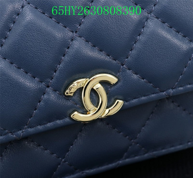 Glami - CHL Bags - 2423