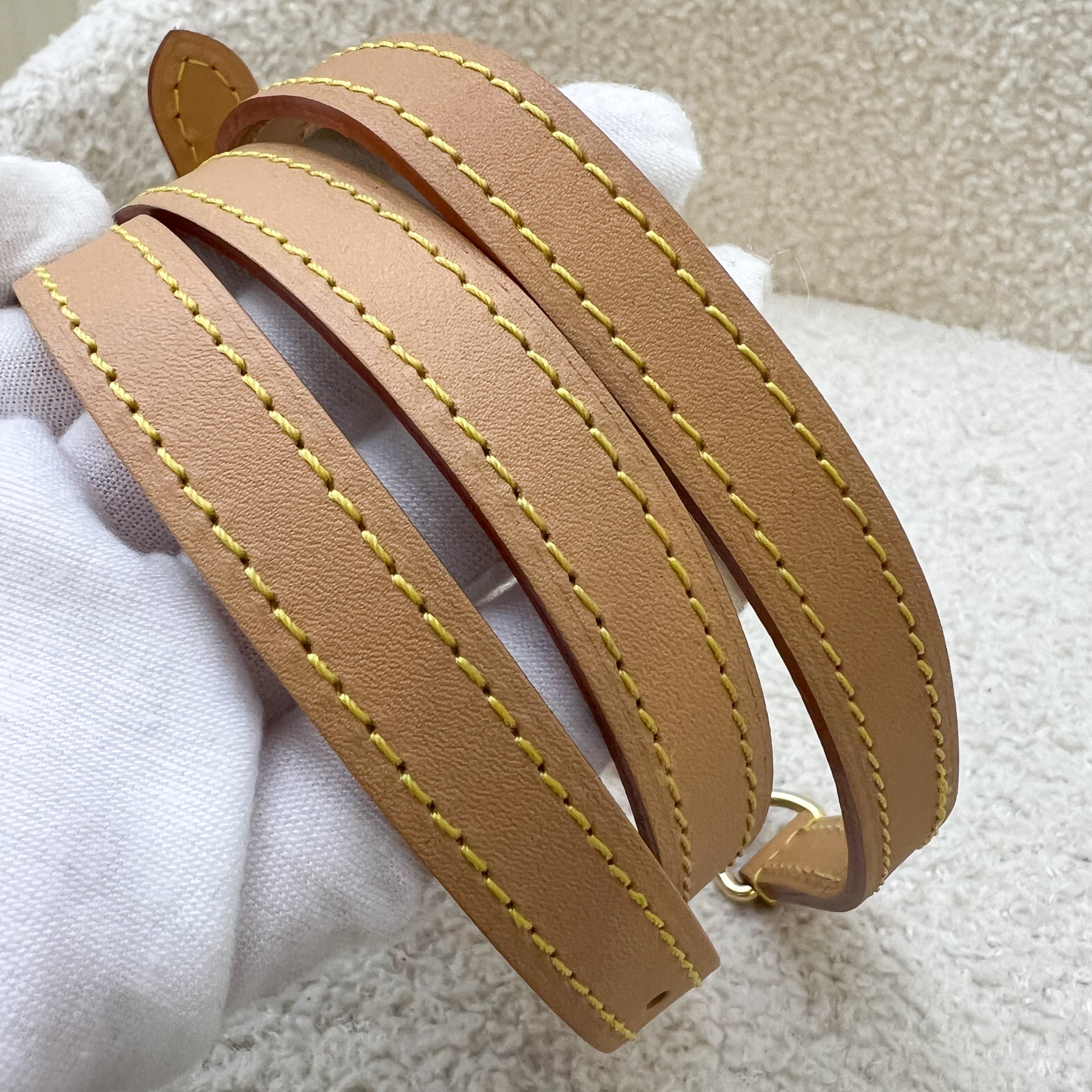 LV Nano Speedy in Monogram Canvas and GHW