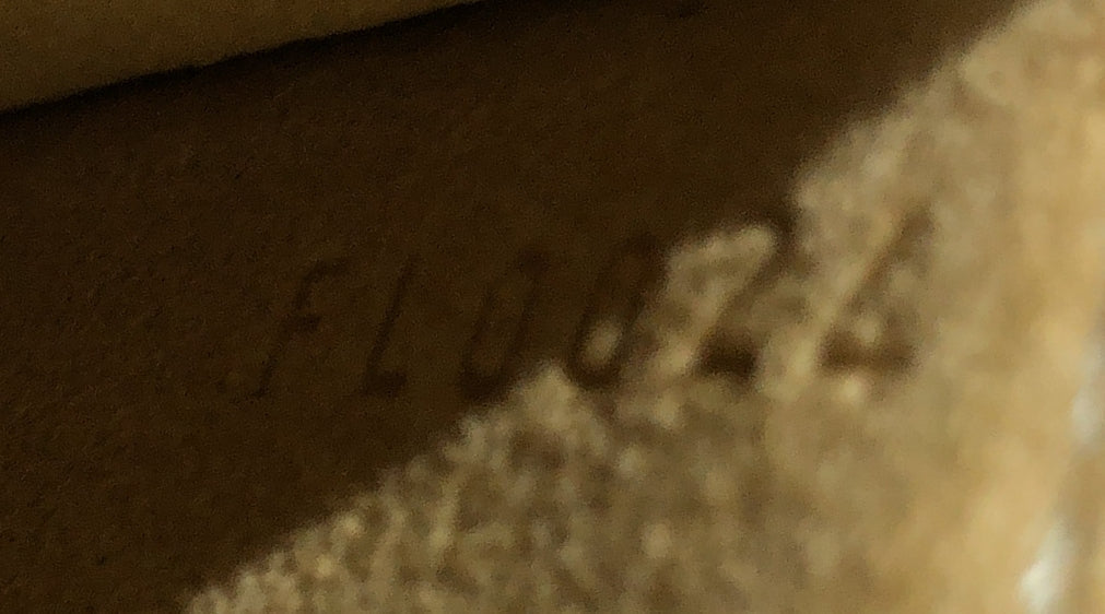 Louis Vuitton Florentine Waist Bag Monogram Canvas