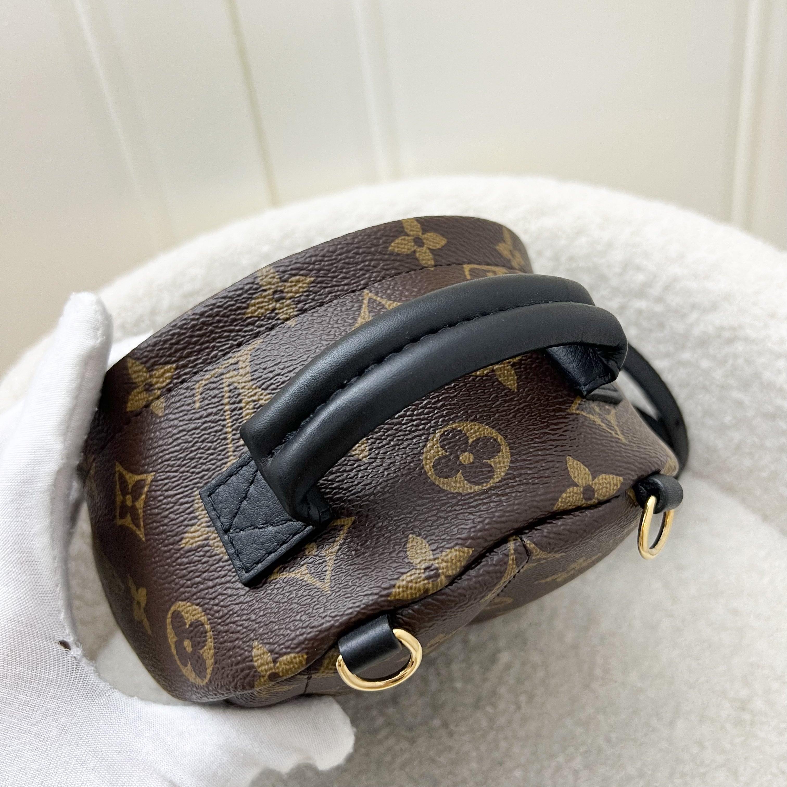 LV Palm Springs Mini Backpack in Monogram Canvas and GHW