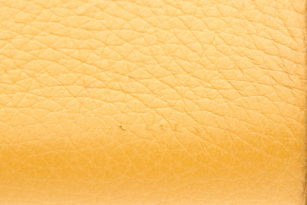 Dolce & Gabbana Yellow Wristlet