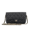 Chanel Chanel Quilted Crossbody Bag