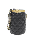 Chanel Chanel Quilted Leather Crossbody Bag