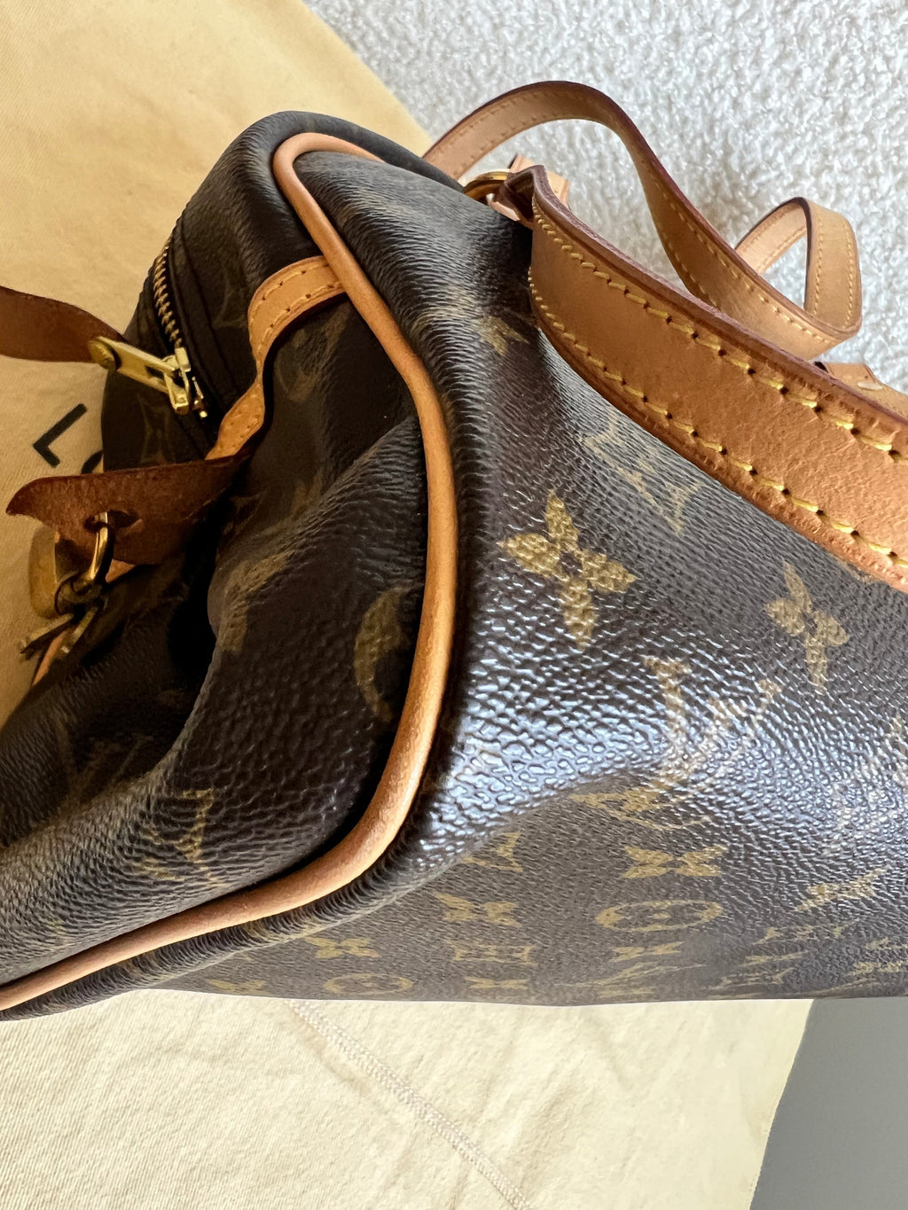 Louis Vuitton Montorgueil PM Monogram