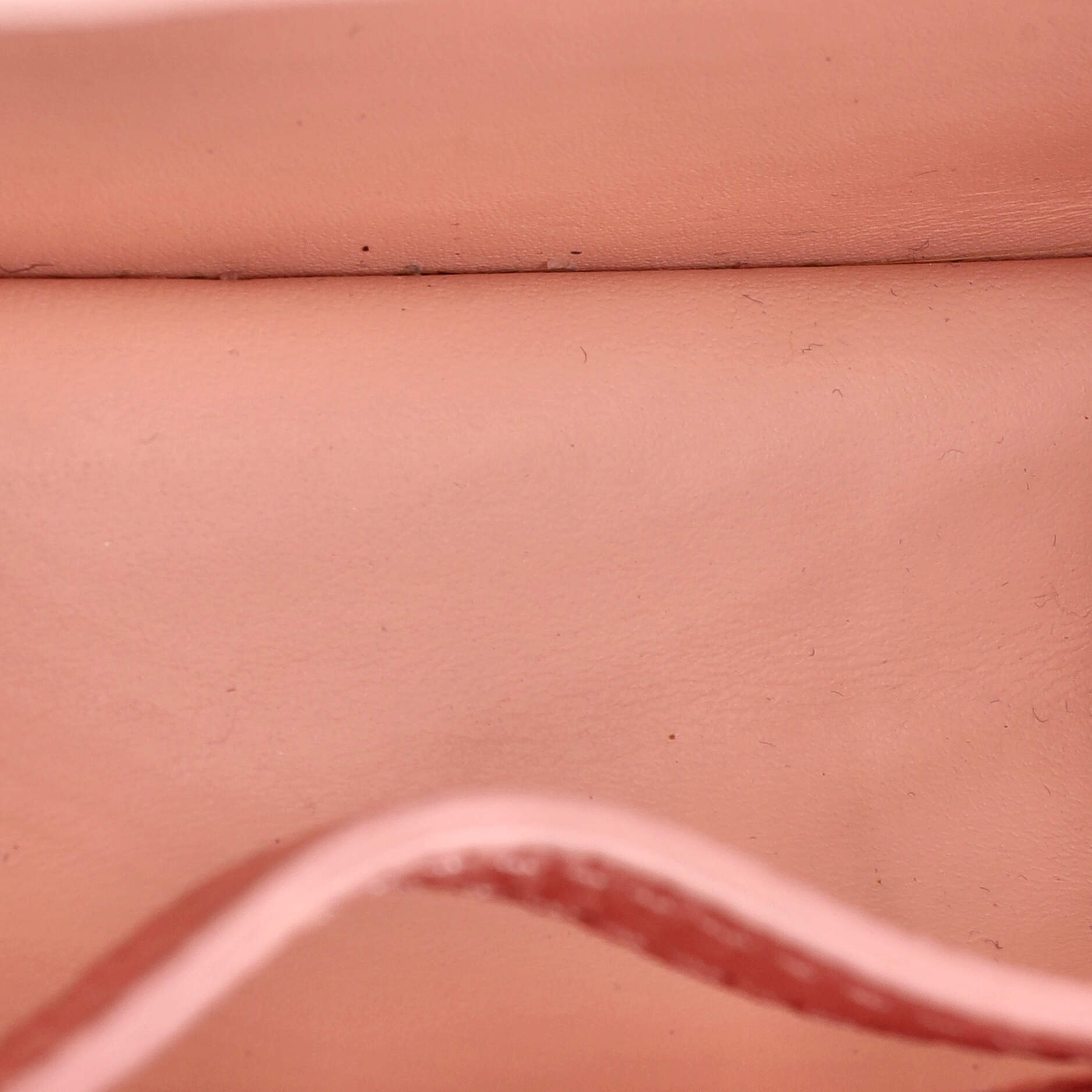 Louis Vuitton Capucines Bag Leather Mini