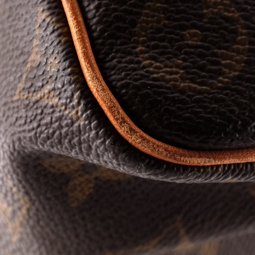 Louis Vuitton Speedy Handbag Monogram Canvas 40